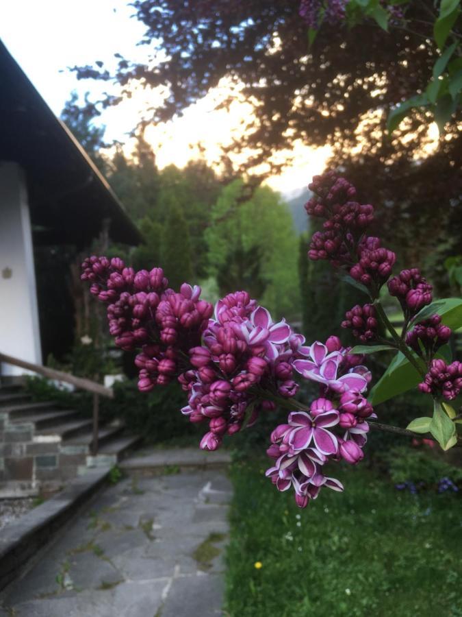 Ferienhaus Wieswald Ehrwald Ngoại thất bức ảnh